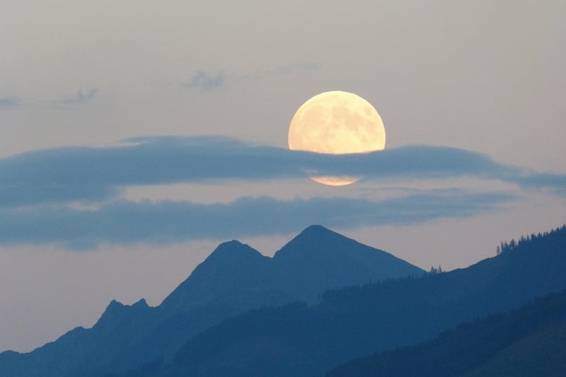 Moon Pies